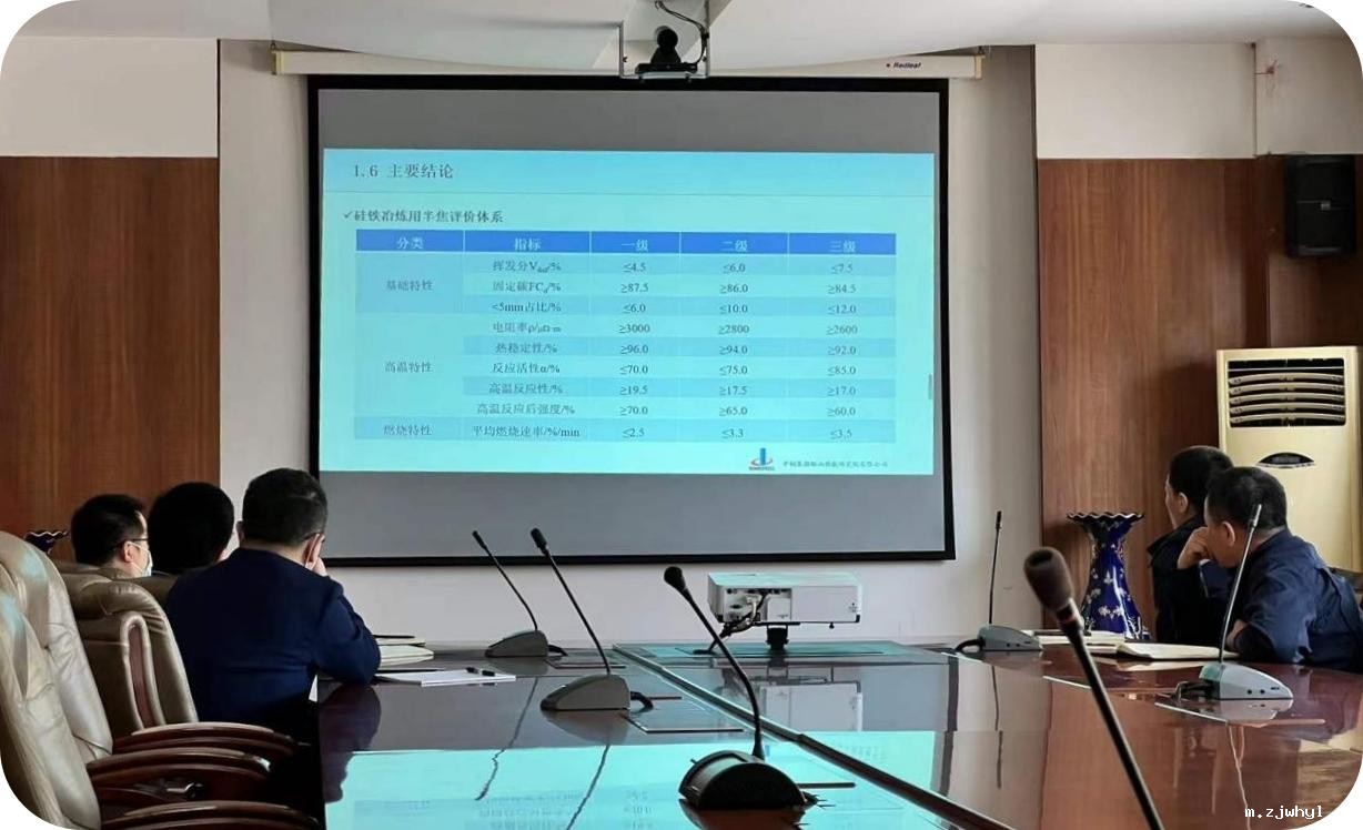 ac米兰官方app下载标准版召开“硅铁冶炼专用焦评价方法”技术论证会