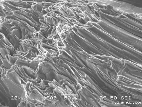 ac米兰官方app下载绿色版