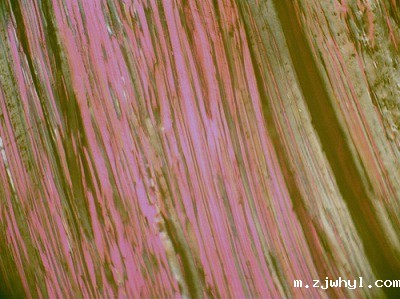 4-硝基邻苯二甲腈