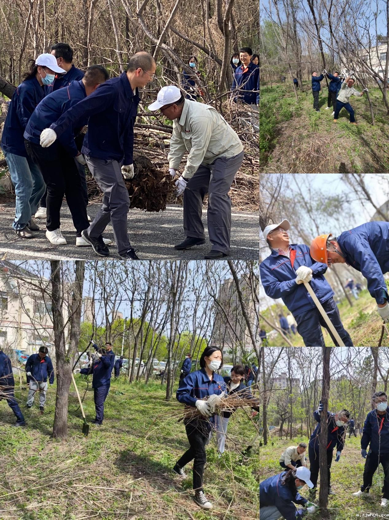 除草护绿正当时，劳动育人绘新篇