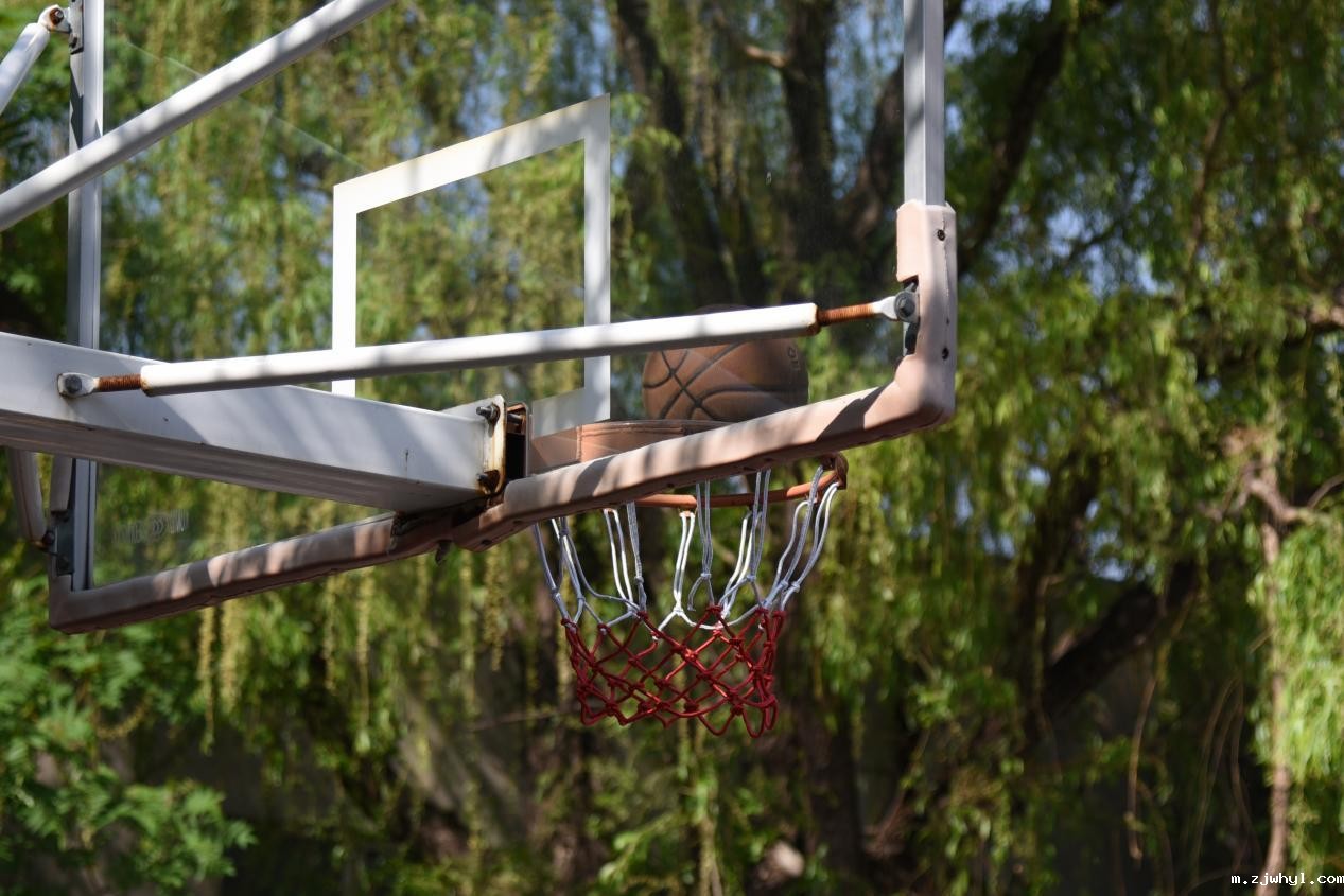 【党工团联建】精彩“篮”不住，ac米兰官方app下载标准版“迎篮而上”篮球赛热力全开