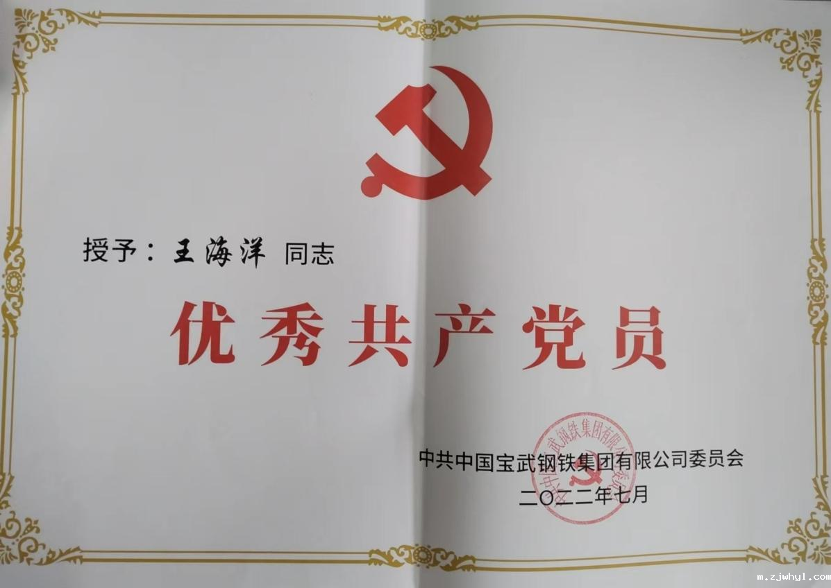 热能院王海洋同志荣获中国宝武“优秀共产党员”称号