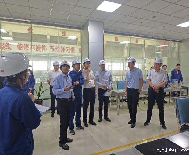 搭建国际合作交流桥梁：ac米兰官方app下载标准版协助印度公司考察工作取得积极进展