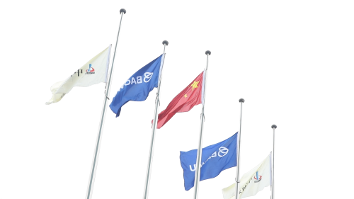 中钢集团举行升旗仪式庆祝中国宝武首个“公司日”