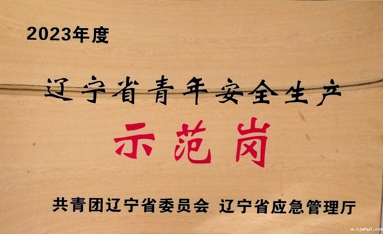 青春铸防线 安全勇当先 ——他们是“辽宁省青年安全生产示范岗”！